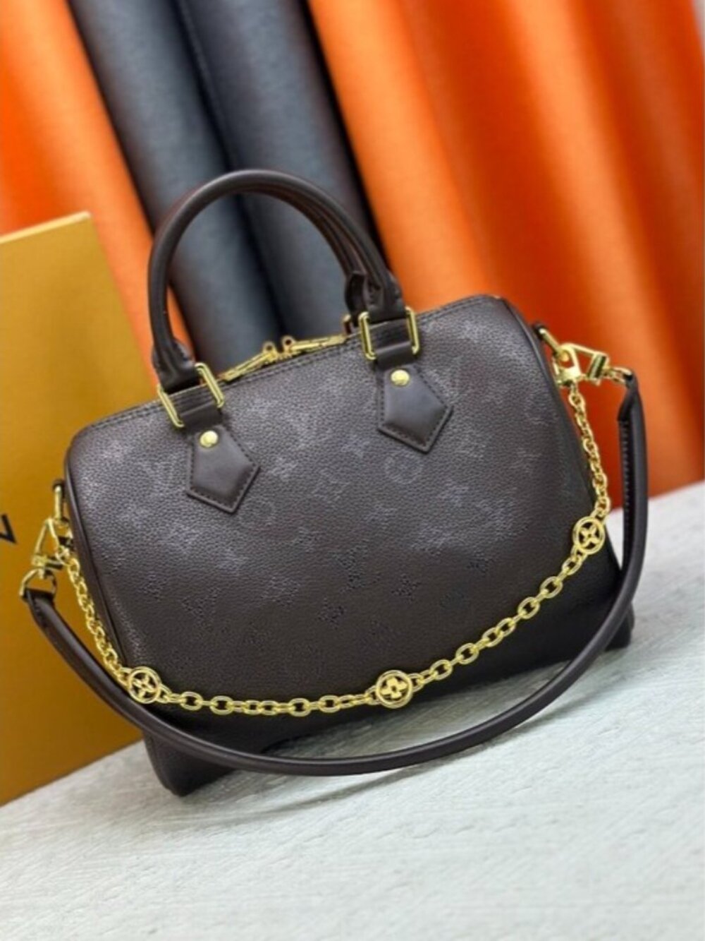 NWT - Louis Vuitton Authentic Bag